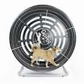 dog exercise wheel