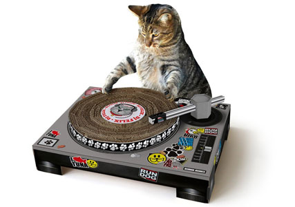 DJ cat scratcher