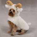 sheep dog costume